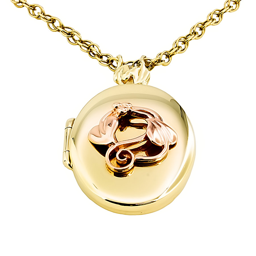 9ct gold Clogau Locket with chain